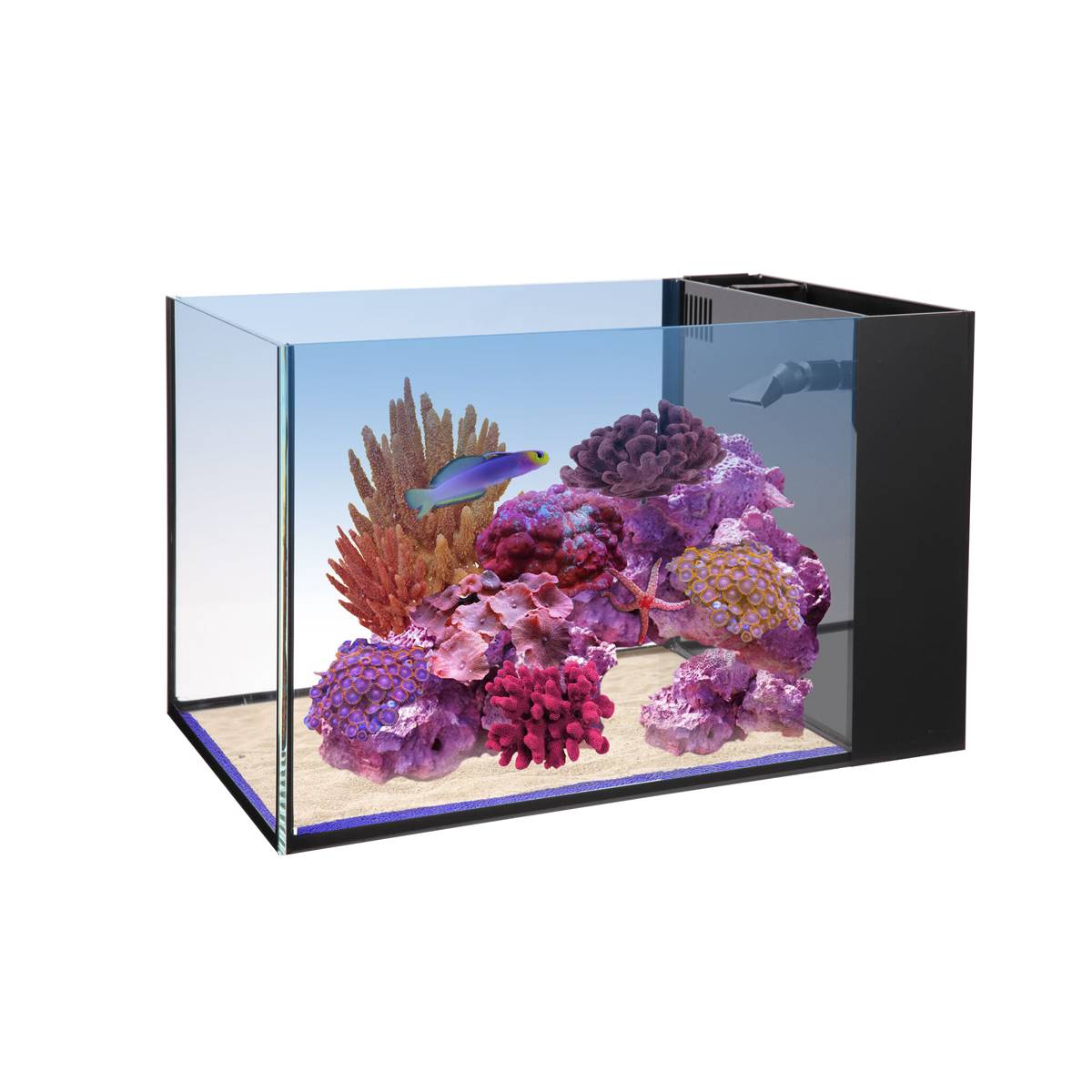 14 Fusion Peninsula Aquarium (Tank Only) - 210697 14g Fusion Innovative Marine Peninsula Aquarium