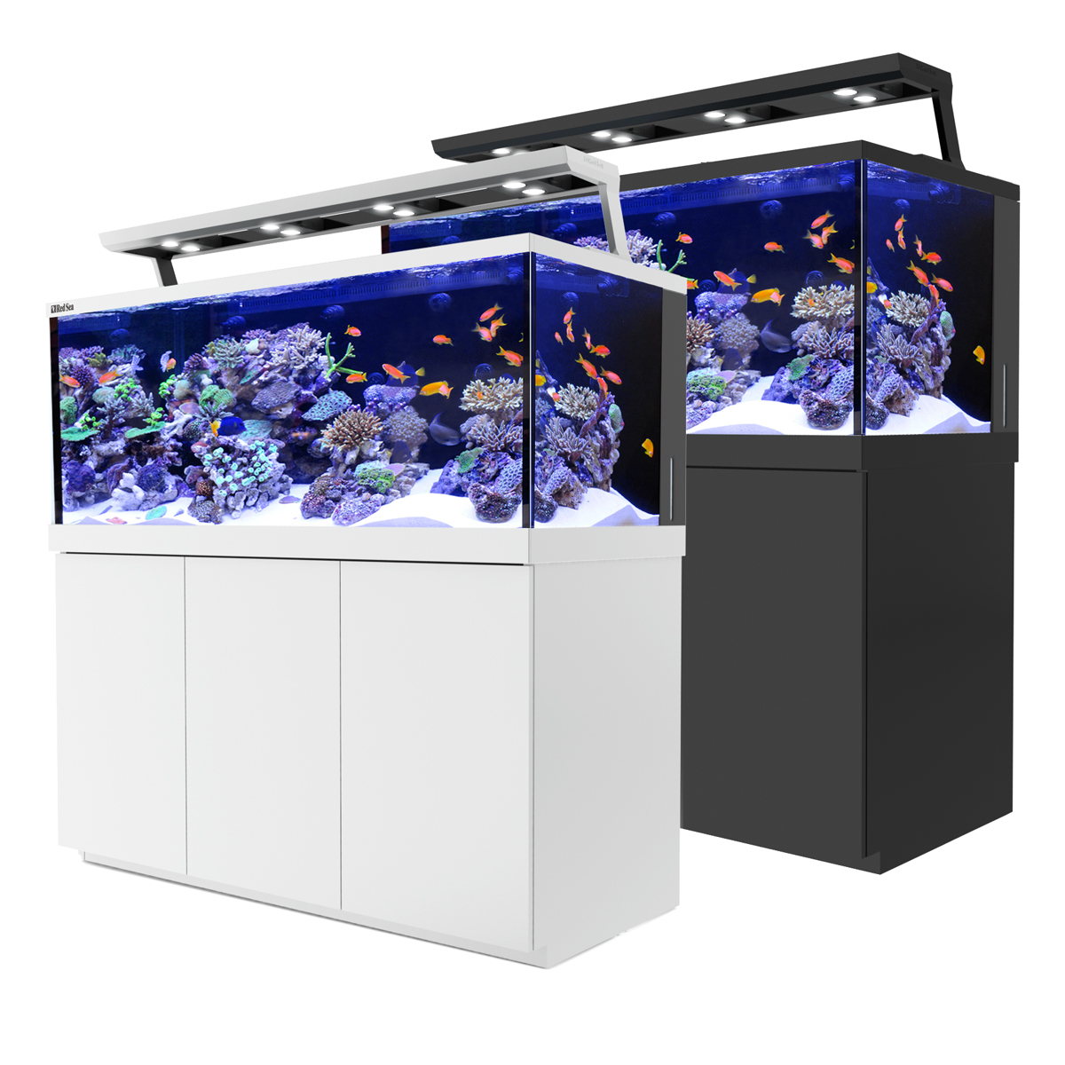 reef aquarium supplies