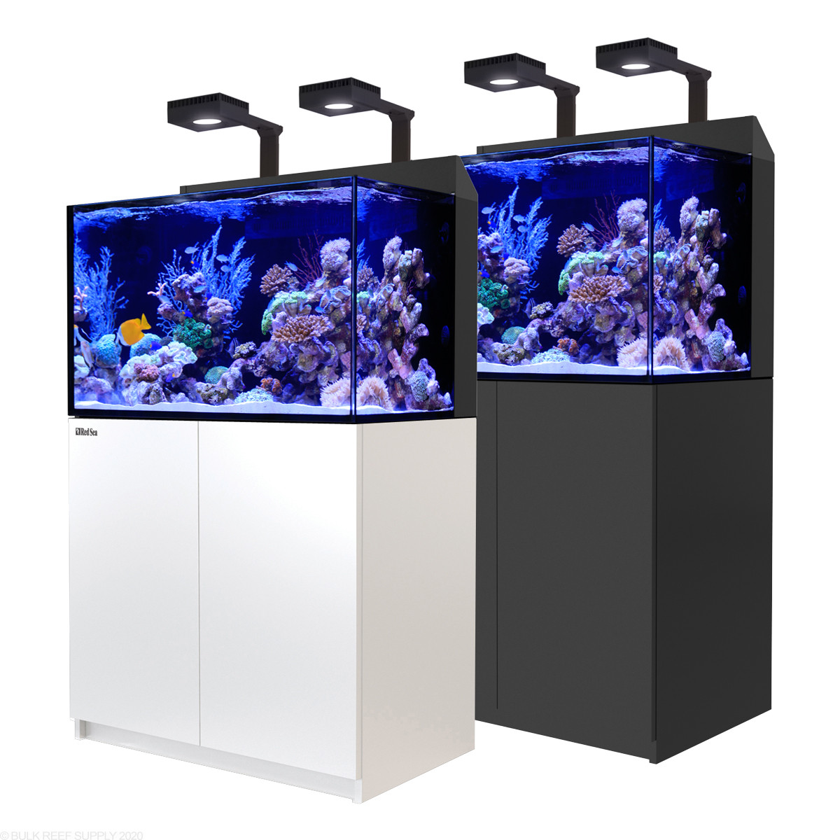 Cabinet Stand Available As An Extra 30l Complete Aquarium Fish Tank With Filtration And Integrated Led Light 30l Black No Stand Aquariums Fish Bowls Aquariums Wmrafricanpartnersltdgte Com Ng